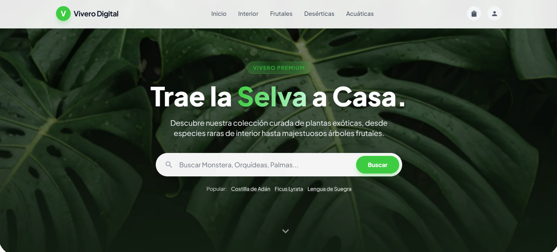 Vista previa Vivero Digital